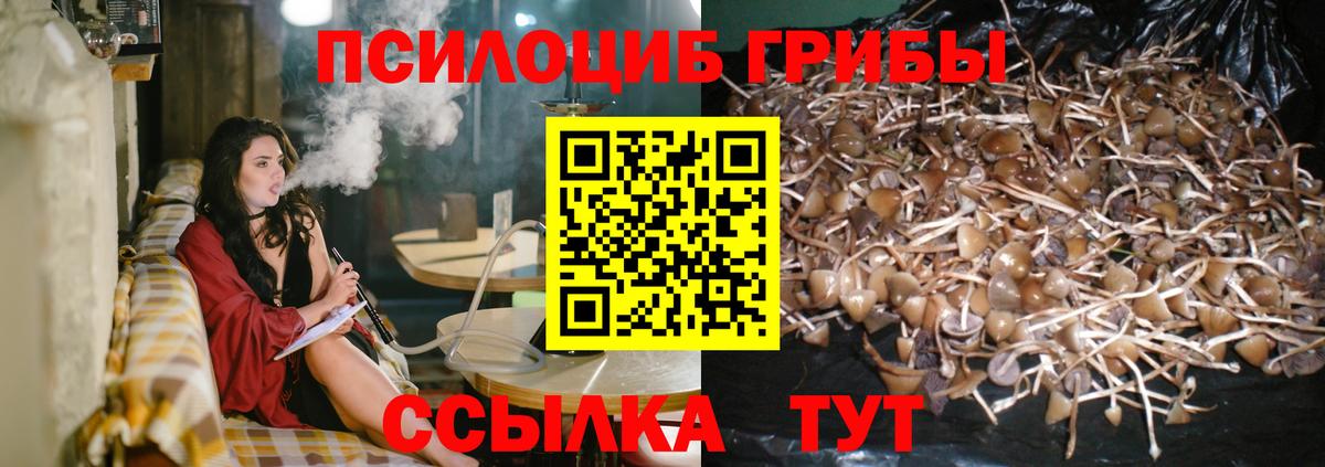 Псилоцибиновые грибы Psilocybine cubensis  Вход с VPN  Курск  Галлюциногенные грибы ЛСД 