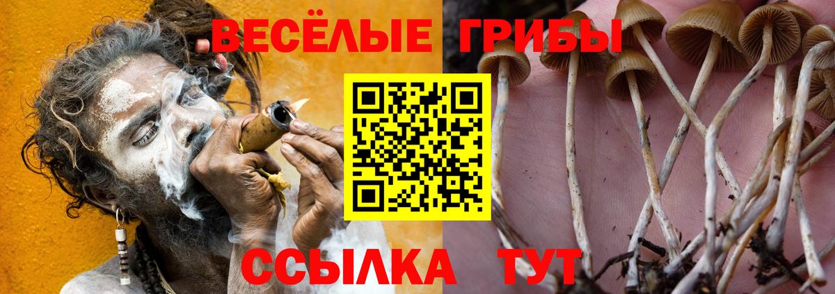 Галлюциногенные грибы MAGIC MUSHROOMS Курск